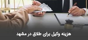  وظایف وکیل طلاق-مشاوره حقوقی: ارائه راهنمایی کامل در مورد روند قانونی طلاق و حقوق موکل.-تنظیم و ثبت دادخواست: تهیه و ثبت دقیق مدارک و دادخواست‌های لازم -حضور در دادگاه: شرکت در جلسات دادگاه خانواده و مراجع قضایی به نمایندگی از موکل، که در برخی مواردمی‌تواند نیاز به حضور فیزیکی زوجین را به حداقل برساند.-پیگیری حقوق مالی: اقدام برای مطالبه یا دفاع در خصوص مهریه، نفقه، اجرت‌المثل